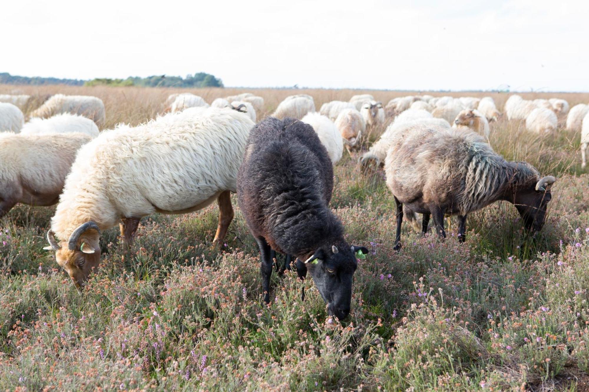 The Barnyard Bed & Breakfast Balinge Bagian luar foto